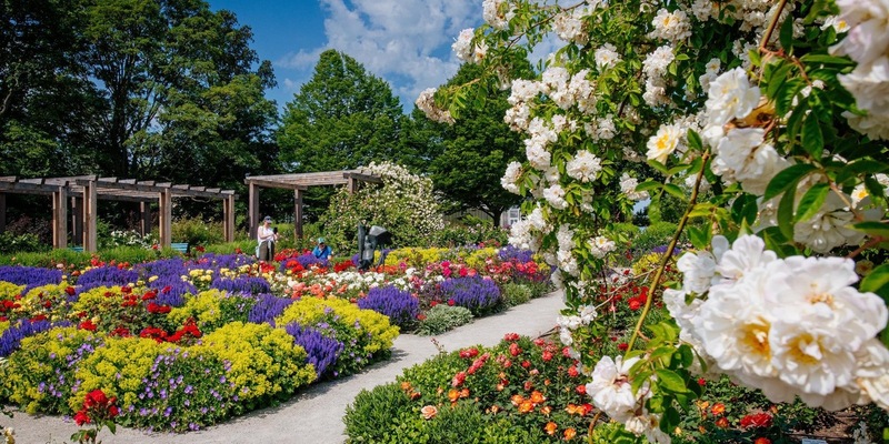Rosenvielfalt und Rosengartenfest im egapark / Der 22. Juni 2025 steht ganz im Zeichen der Königin der Blumen - Foto: presseportal.de