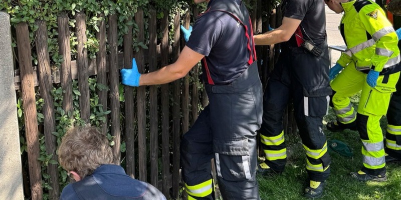 FW-M: Älterer Herr zwischen Hecke und Gartenzaun eingeklemmt (Pasing) - Foto: presseportal.de