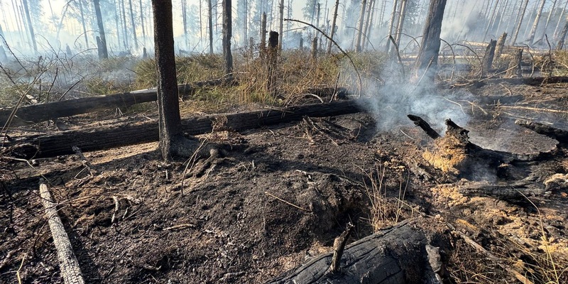 FW Kreis Soest: Erste Folgemeldung Waldbrand Möhnesee - Foto: presseportal.de