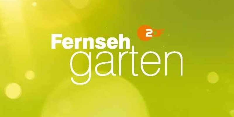 Joachim Llambi und Lutz van der Horst vertreten Andrea Kiewel im ZDF-Fernsehgarten - Foto: presseportal.de