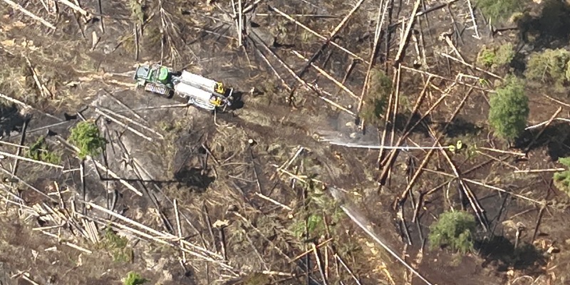 FW Kreis Soest: Vierte Folgemeldung zum Waldbrand am Möhnesee - Foto: presseportal.de