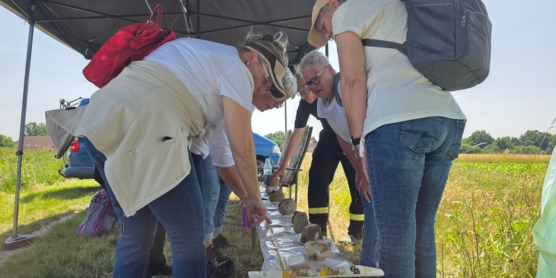 FW Celle: Leistungsmarsch und Spiel ohne Grenzen der Ortsfeuerwehr Altenhagen - Foto: presseportal.de