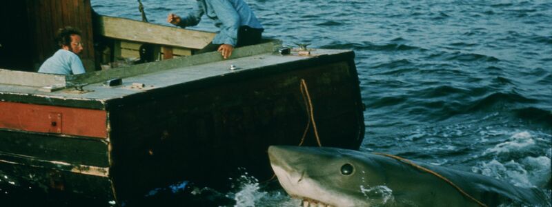 In den vergangenen Jahren ist das durch «Der weiße Hai» transportierte Bild von den Raubfischen als grausamen Fressmaschinen korrigiert worden. (Archivbild) - Foto: Universal Pictures/dpa