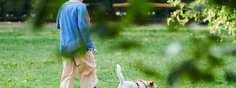 Vierbeiner als Schritt-Motivator: Wer einen Hund hält, macht durch das mehrmals tägliche Gassigehen automatisch mehr Schritte. (Illustration) - Foto: Annette Riedl/dpa