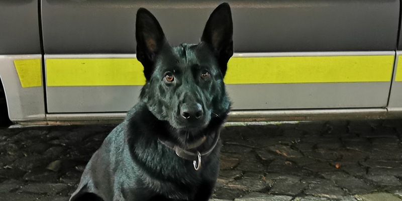 POL-HH: 250616-1. Drei vorläufige Festnahmen nach Verdacht des Wohnungseinbruchdiebstahls in Hamburg-St. Georg - Foto: presseportal.de