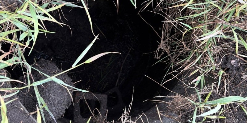 FW-OLL: Feuerwehr rettet in Schacht gestürztes Rehkitz - Foto: presseportal.de