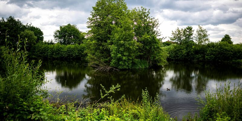 Die Absperrungen können entfernt werden. In Vechta muss kein Reptil geschützt werden.  - Foto: Sina Schuldt/dpa