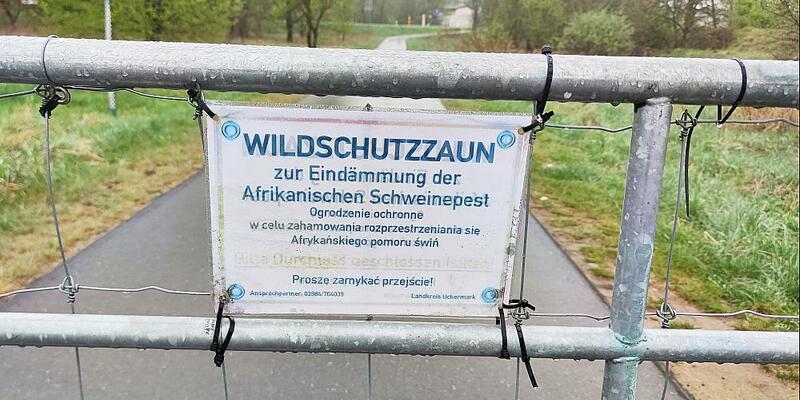 Wildschutzzaun gegen Afrikanische Schweinepest (Archiv) - Foto: über dts Nachrichtenagentur