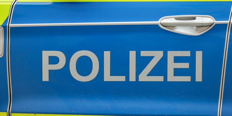 Die Polizei sucht am Geiseltalsee in Sachsen-Anhalt nach einer Großkatze. (Symbolbild) - Foto: Jan Woitas/dpa