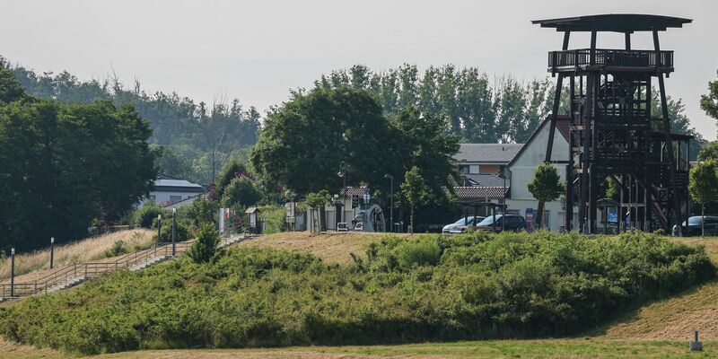 Suche nach Großkatze mit Drohnen - Foto: Jan Woitas/dpa