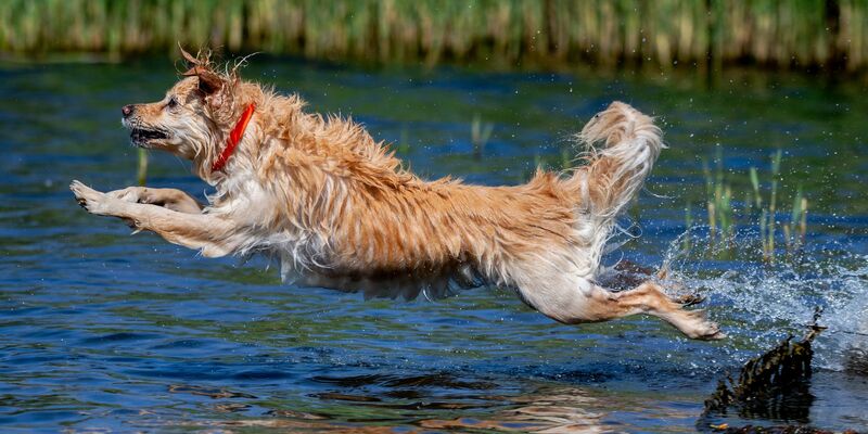 Am Sonntag nimmt dann die Wärmebelastung deutlich zu. (Archivbild) - Foto: Hauke-Christian Dittrich/dpa