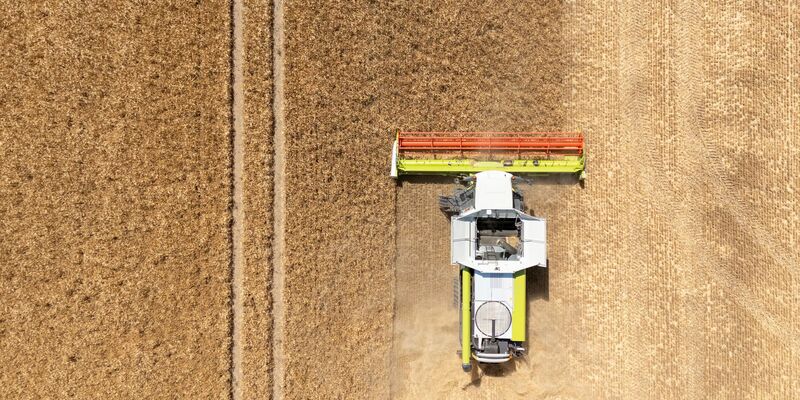 Mähdrescher rollen zur Ernte auf die ersten Äcker. (Archivbild) - Foto: Sebastian Kahnert/dpa