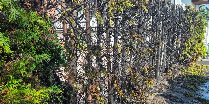 FW Ense: Brennende Hecke - Gebäude in Gefahr - Foto: presseportal.de