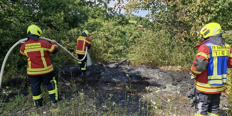 FW Reichenau: Grünschnitt in Brand geraten, Reichenau-Oberzell, 21.06.2025 - Foto: presseportal.de