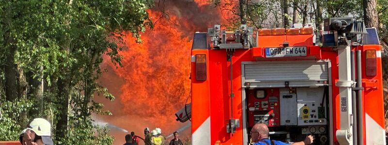 An vielen Orten ist die Waldbrandgefahr derzeit hoch. - Foto: Christian Guttmann/Brandenburg News24/dpa