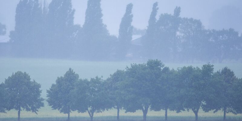 Im Nordosten Deutschlands wird heftiger Regen erwartet. (Archivbild) - Foto: Jens Büttner/dpa