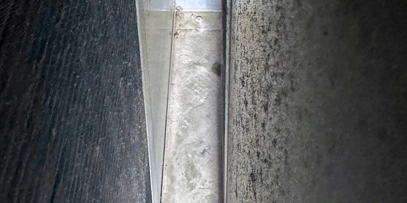 FW-M: Tierischer Auftritt (Olympiapark) - Foto: presseportal.de