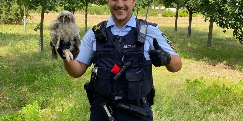 POL-MA: Mannheim: Eule sorgt für Polizeieinsatz - Foto: presseportal.de