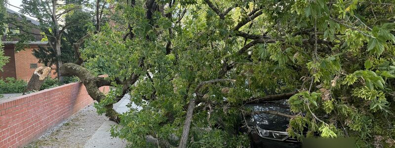 Um die Sturmschäden zu beseitigen, musste die Feuerwehr am Montagabend zu zahlreichen Einsätzen ausrücken. - Foto: Marion van der Kraats/dpa-Zentralbild/dpa