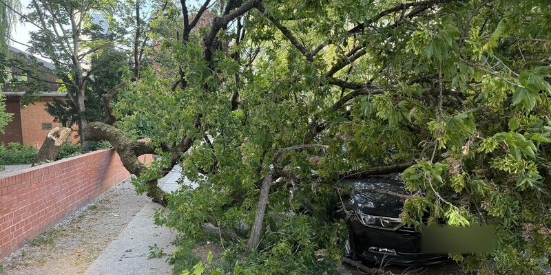 Um die Sturmschäden zu beseitigen, musste die Feuerwehr am Montagabend zu zahlreichen Einsätzen ausrücken. - Foto: Marion van der Kraats/dpa-Zentralbild/dpa