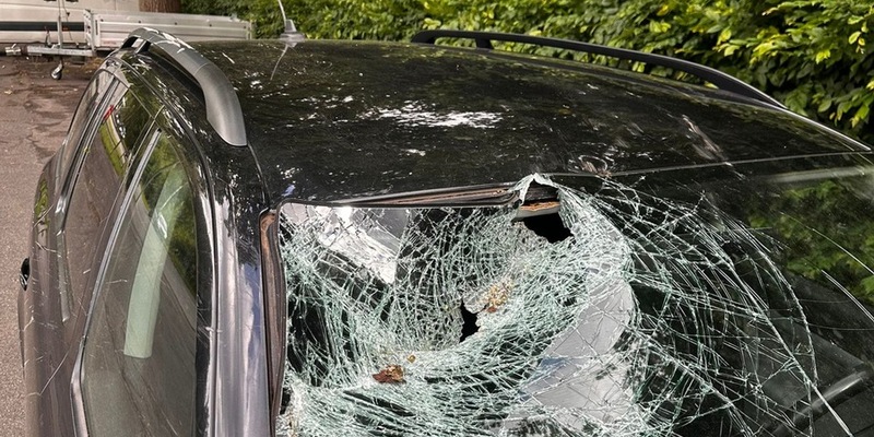 FW-DT: Baum auf Fahrbahn - Windschutzscheibe getroffen - Foto: presseportal.de