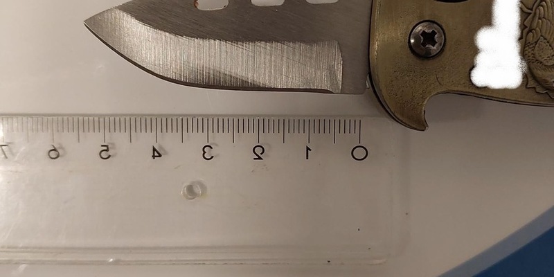 BPOL-HH: Festnahme einer Frau mit Betäubungsmitteln und Springmesser - Lebensgefährtin zahlt 645 Euro Geldstrafe und bewahrt per Haftbefehl gesuchte Frau vor Verbüßung einer Freiheitsstrafe von 129 Tagen - Foto: presseportal.de