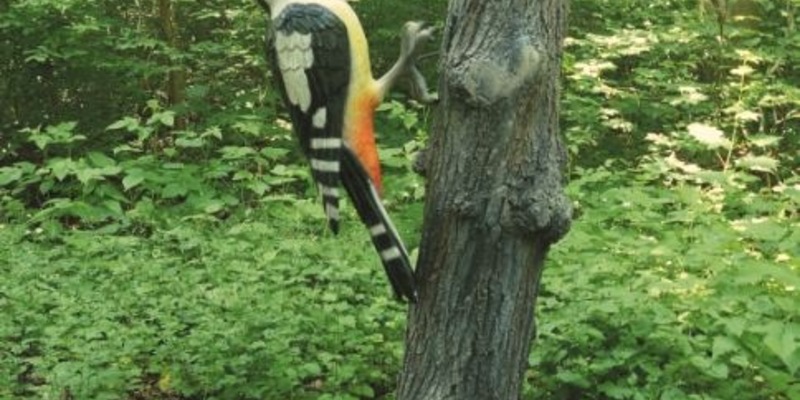 LPI-GTH: Holzskulptur entwendet - Zeugen gesucht - Foto: presseportal.de