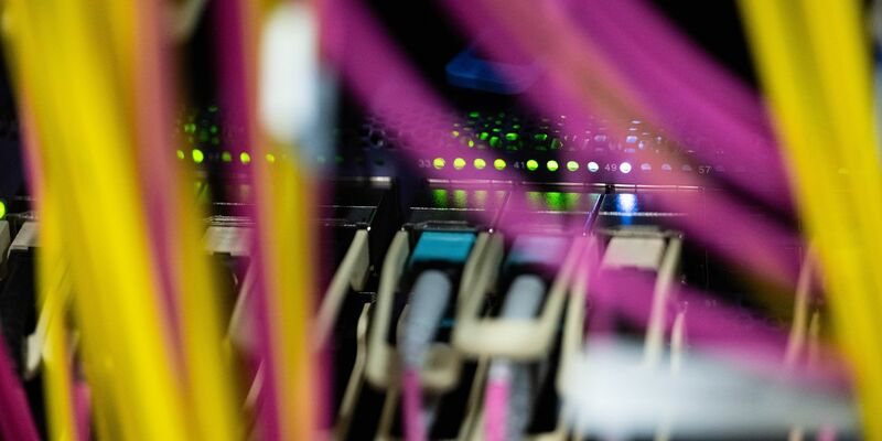 «Blue Swan» soll noch Bayern kommen - ob die EU-Kommission dem Wunsch der Staatsregierung entspricht, muss sich aber zeigen. (Illustration) - Foto: Marijan Murat/dpa