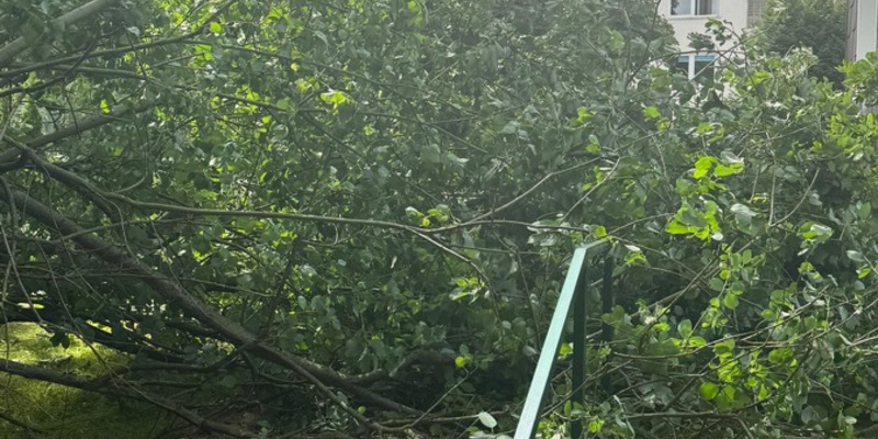 FW-EN: Sechs Einsätze für die Feuerwehr Gevelsberg am Dienstag - Foto: presseportal.de