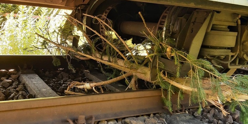 BPOL-KL: Zug kollidiert mit umgestürztem Baum - Foto: presseportal.de