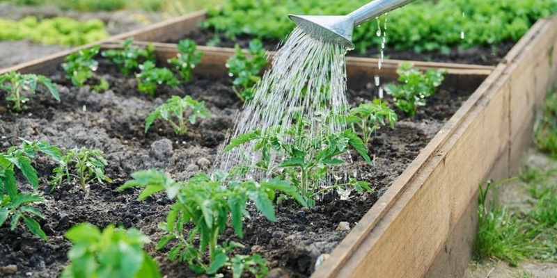 Mit der richtigen Bewässerung bleiben Pflanzen und Rasen auch im Hochsommer gesund - Foto: presseportal.de