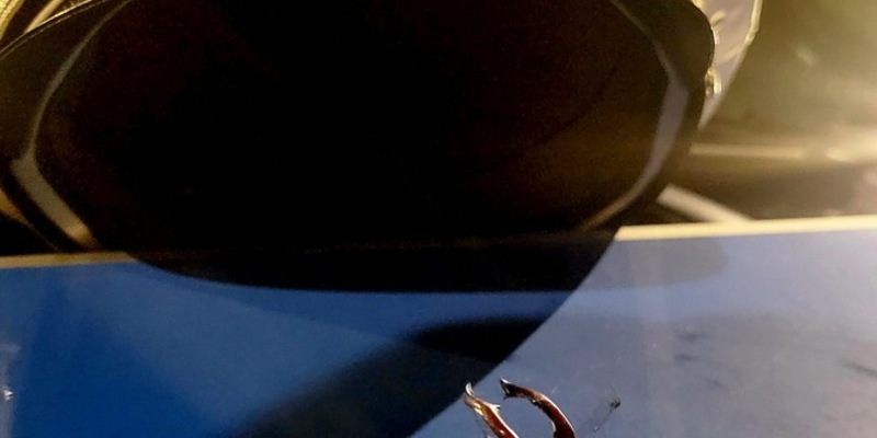 POL-LDK: Fenster aufgehebelt + Tierischer Einsatz- Skorpion auf Balkon gemeldet - Foto: presseportal.de