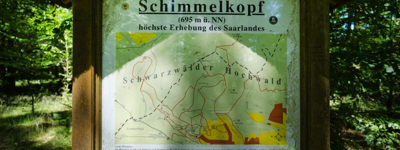 Der Schimmelkopf ist 694,8 Meter hoch, der Dollberg bei Nohfelden aber 695,4 Meter. Sechzig Zentimeter höher. - Foto: Oliver Dietze/dpa