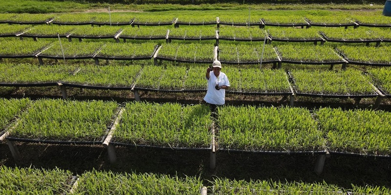 Wirkungen und Resilienz im Fokus: DEG stellt Entwicklungspolitischen Bericht 2024 vor - Foto: presseportal.de