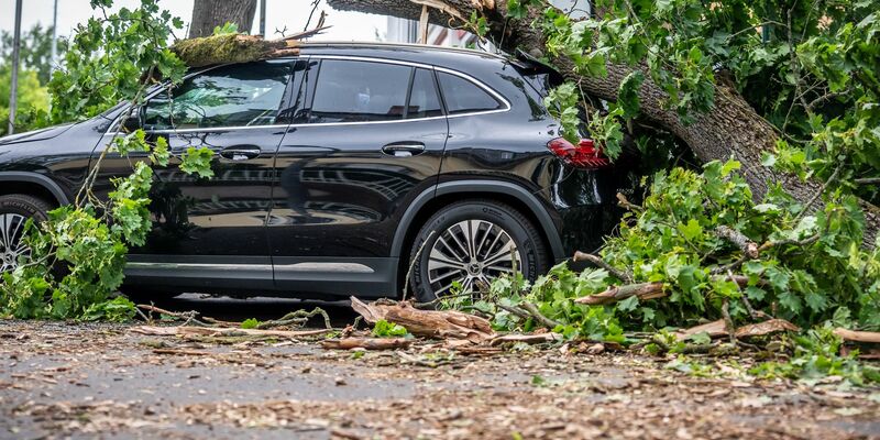 In Berlin führte jüngst ein Sturm zu zahlreichen Schäden. Eine Frau starb. - Foto: Michael Kappeler/dpa