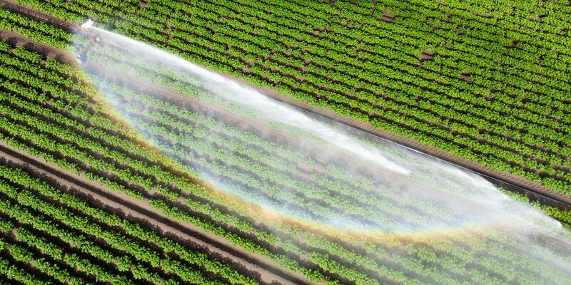 Wasser kann Luxus sein - wenn es knapp ist und für die Landwirtschaft gebraucht wird. (Illustration) - Foto: Julian Stratenschulte/dpa