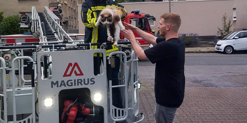 FW-BO: Feuerwehr rettet hilflosen Kater Loki vom Dach eines Mehrfamilienhauses - Foto: presseportal.de