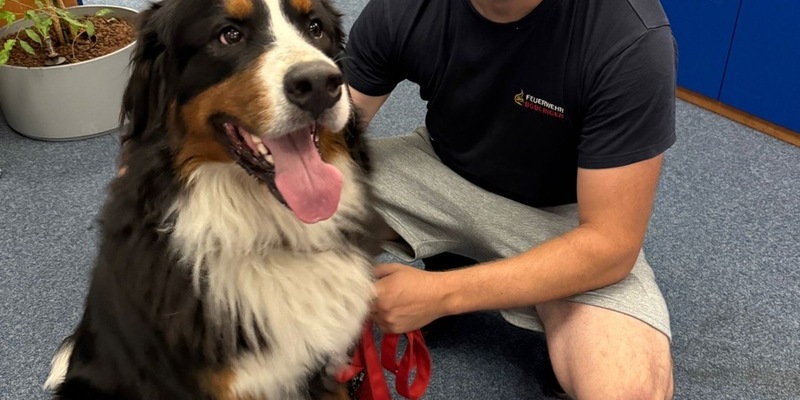 FW Böblingen: Die Feuerwehr Böblingen wurde am späten Samstagabend zu einer eher ungewöhnlichen Tierrettung alarmiert. - Foto: presseportal.de