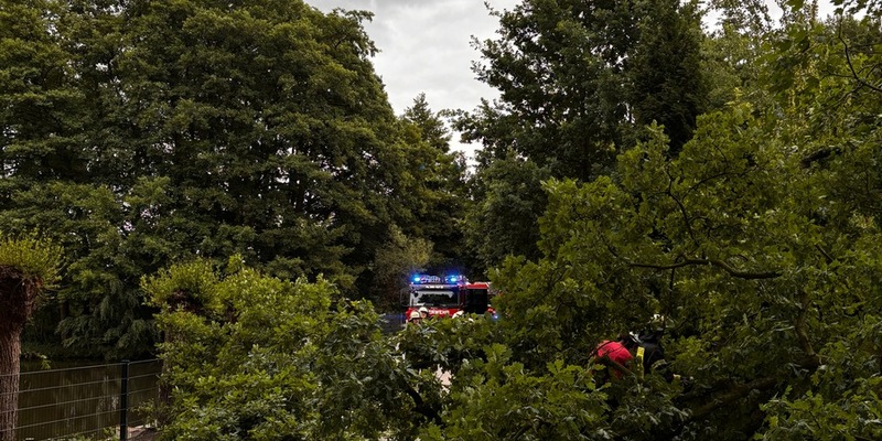 FW-Schermbeck: Umgestürzter Baum - Foto: presseportal.de