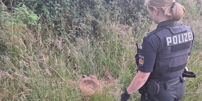 POL-HB: Nr.: 0414 --Von Ayla, dem Rehkitz - Ein Sonntagsmärchen aus Burglesum-- - Foto: presseportal.de