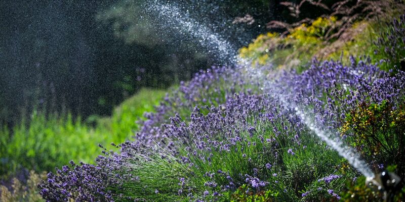 Der Juni war deutlich zu warm und zu trocken.  - Foto: Jens Kalaene/dpa