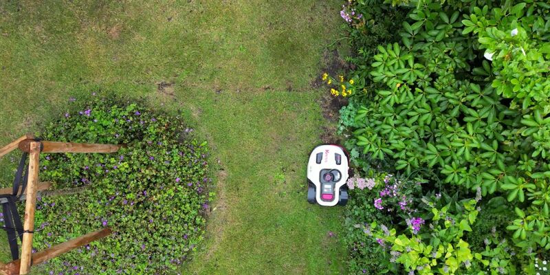 Naturschützer warnen davor, dass Mähroboter eine Gefahr sein können - vor allem für nachtaktive Tiere. (Symbolbild) - Foto: Sascha Thelen/dpa