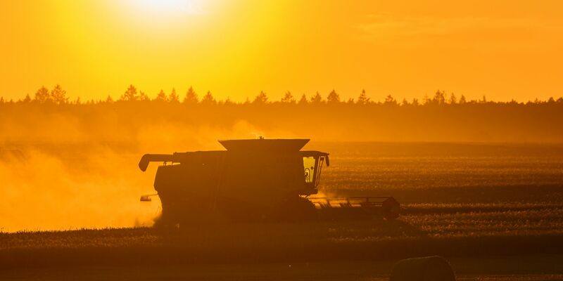 Am Dienstag kommt Deutschland dem Höhepunkt der laufenden Hitzewelle immer näher. - Foto: Patrick Pleul/dpa