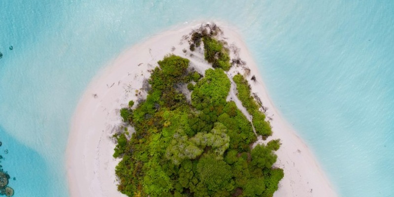 Gestrandet mit dem Survival-Profi? / So wählen Deutsche ihren Urlaubspartner laut Opodo-Umfrage - Foto: presseportal.de