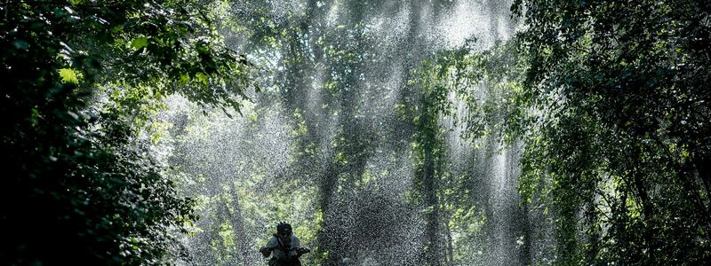 Am Mittwoch wird der Höhepunkt der Hitzewelle erwartet. - Foto: Kay Nietfeld/dpa