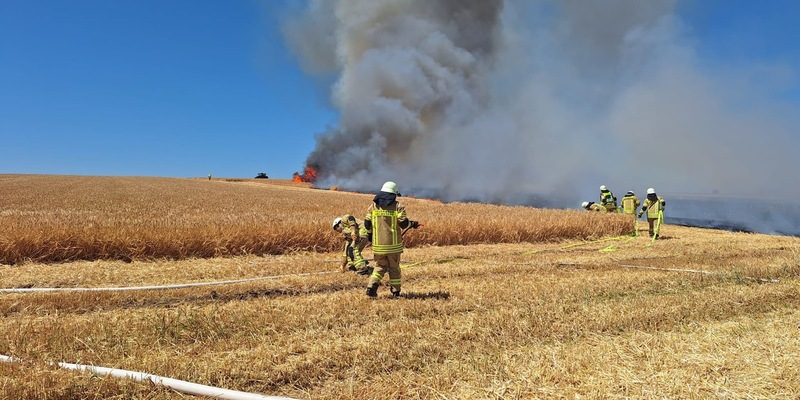 FW Helmstedt: 3 Hektar Getreidfeld in Flammen - Foto: presseportal.de