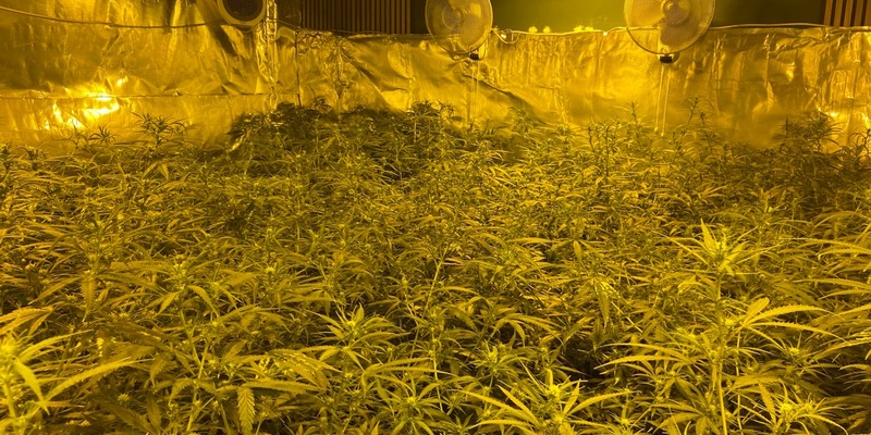 POL-PPTR: Nachtragsmeldung: Bandenkriminalität - Länderübergreifender Einsatz gegen illegalen Cannabisanbau und -handel [unsere Meldung von 08:12 Uhr] - Foto: presseportal.de