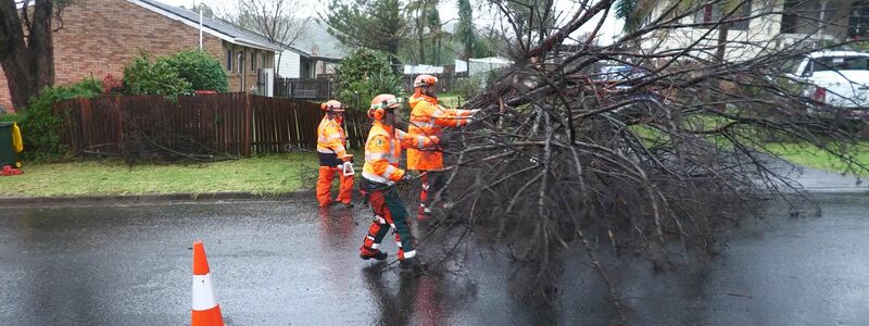 Herabstürzende Bäume haben auch Häuser beschädigt.  - Foto: Supplied By New South Wales Stat/NEW SOUTH WALES STATE EMERGENCY SERVICE/APA/dpa