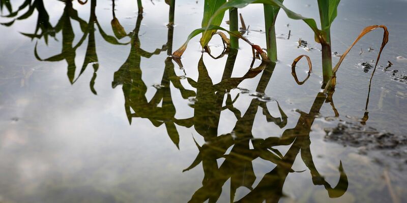 Die EU-Kommission will ein verbindliches Klimaziel für 2040. (Archivbild) - Foto: Karl-Josef Hildenbrand/dpa