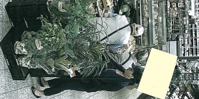 LPI-G: Öffentlichkeitsfahndung nach beschuldigter Person wegen Taschendiebstahls aus dem Jahr 2023 - Foto: presseportal.de